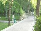 昌吉州瑪納斯縣北公園天氣