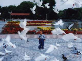 石河子游憩廣場天氣
