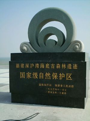 晉江深滬灣海底古森林自然保護區天氣