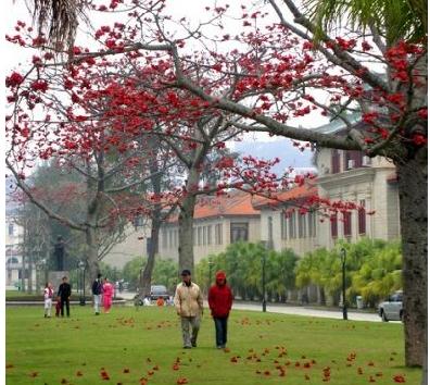 廈門大學天氣