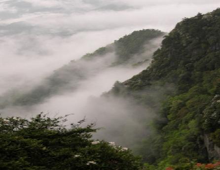 桃山仙洞山公園天氣