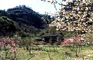 武夷山小桃源天氣