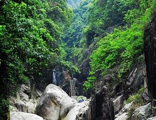 廈門野山谷天氣