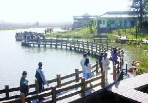 廈門五緣灣濕地公園天氣