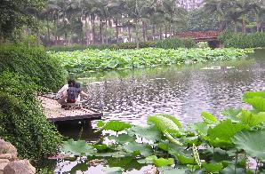 福州茶亭公園天氣