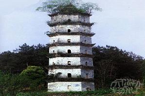 龍巖龍門塔天氣