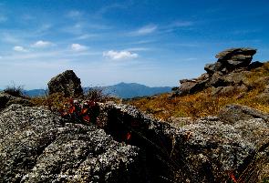 武夷山黃崗山天氣