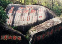 廈門新碑林天氣