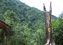 武夷山十八寨天氣