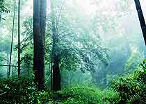 武平梁野山國家自然保護區天氣