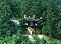 將樂楊時墓天氣