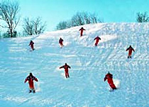 賓縣龍珠二龍山滑雪場天氣