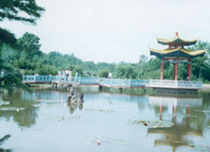 南崗一面坡國家森林公園天氣