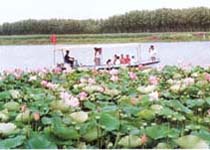 肇源蓮花湖天氣