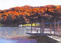 柳河三仙夾國家森林公園天氣