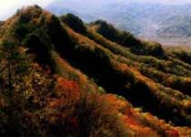 梅河口雞冠山風景區天氣