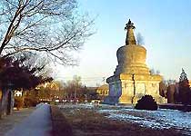 沈陽清初四塔天氣