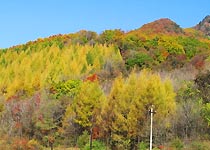 撫順三塊石國家森林公園天氣