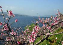 寬甸河口景區天氣