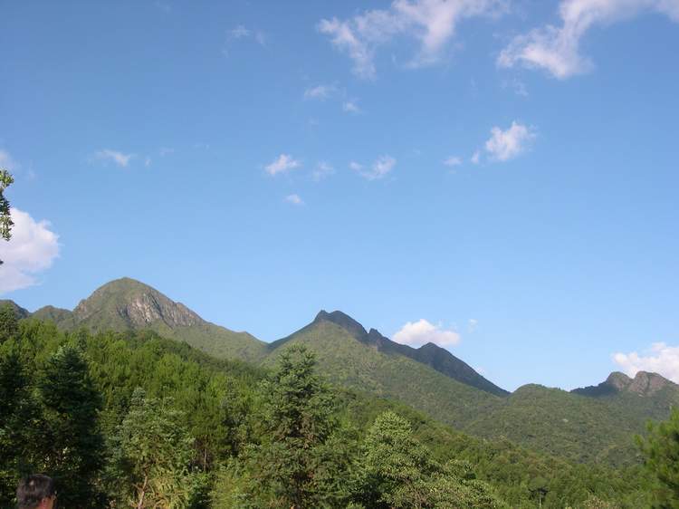 龍巖云頂茶園天氣
