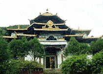 林芝布久喇嘛嶺寺天氣