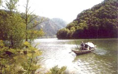 三明蘿卜巖楠木自然保護區天氣