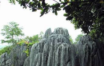 永安石林天氣