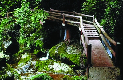 賓縣花樂山景區(qū)天氣