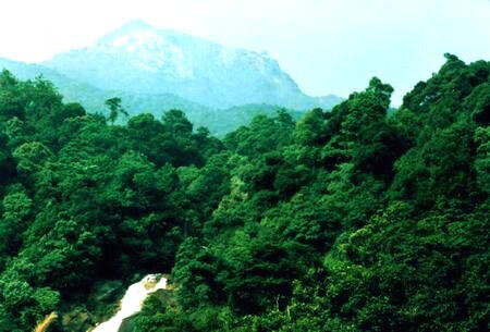 龍巖梁野山天氣