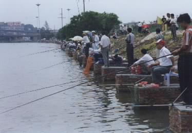 廈門杏林灣釣魚基地天氣