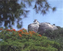 廈門日光巖天氣