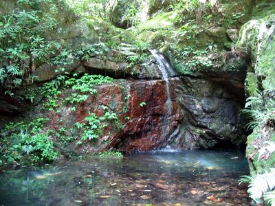 龍巖東肖森林公園天氣