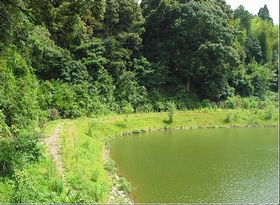 福州旗山國家森林公園天氣
