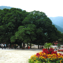 福州國家森林公園天氣