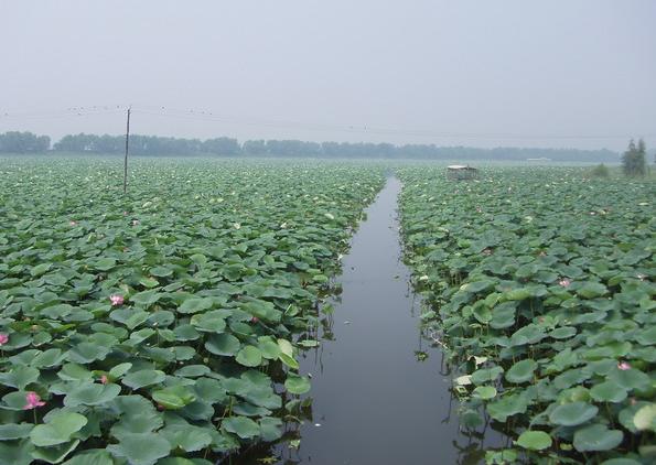 沈陽西湖天氣