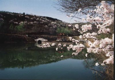 沈陽市蘇家屯區(qū)白清寨鄉(xiāng)天氣