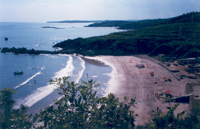 大連莊河黑島天氣