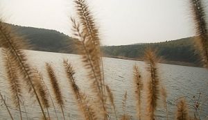 旅順口旅順猴石山天氣