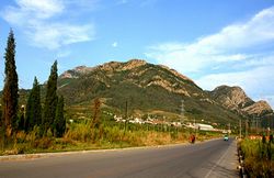 大連大黑山天氣
