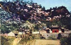 鞍山中會寺天氣