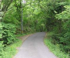 鞍山東山城市森林公園天氣