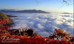 本溪老禿頂自然保護區天氣
