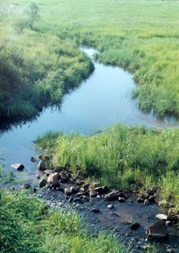 哈爾濱鶴崗國家森林公園天氣