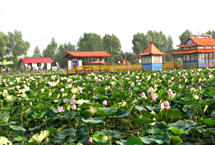 哈爾濱方正蓮花湖公園天氣