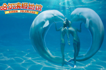 哈爾濱極地館天氣
