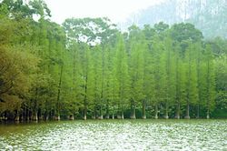 齊齊哈爾哈拉海濕地保護(hù)區(qū)天氣