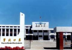 鶴崗蘿北口岸天氣