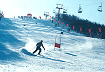 佳木斯臥佛山滑雪場天氣