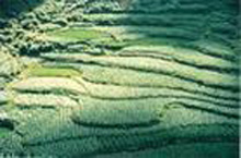 黑河五道活龍島影視基地天氣