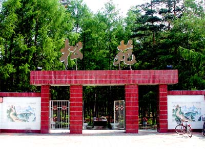 大興安嶺漠河松苑原始森林公園天氣